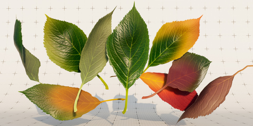 240501_twinmotion20241_foliagematerials-4